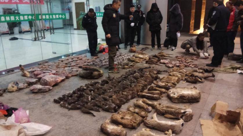 رسمي: بكين تحرّم صيد الحيوانات البرية وبيعها وتناولها