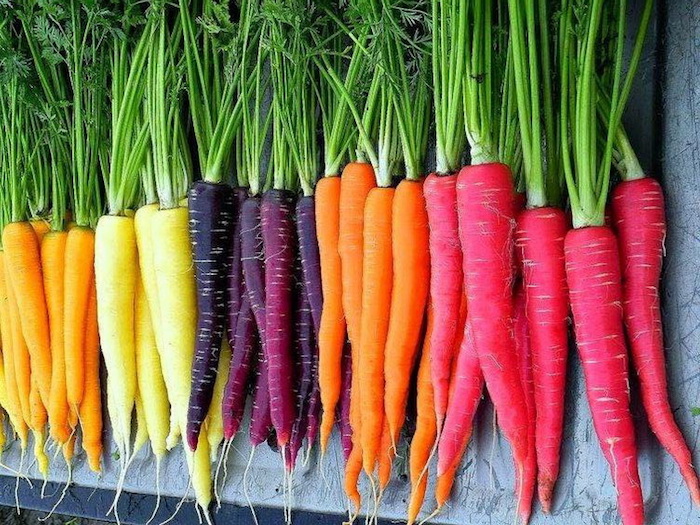 Les carottes et leurs 6 façons de préparer comme salade
