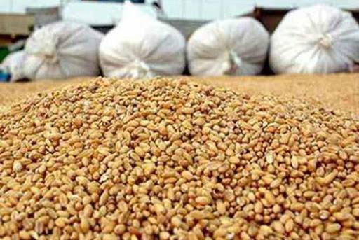 تونس تستورد كميات من القمح اللين والشعير