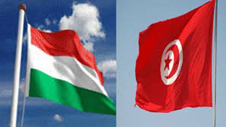 لأول مرة: لقاءات بين مؤسسات تونسية ومجرية ستتمّ عن بعد