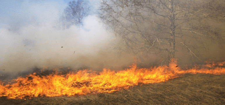 حريق بالمنطقة العسكرية المغلقة بجبل السلوم