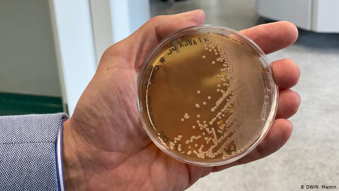 الالمان يبحثون عن لقاح لكورونا من الخميرة