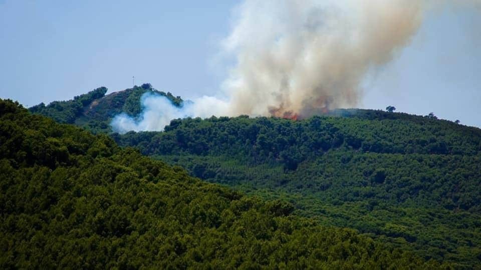 حريق هائل في جبل بوكحيل بسليانة(فيديو)
