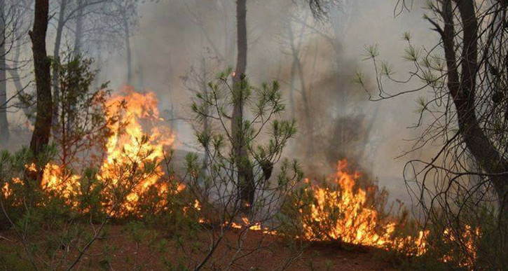 سليانة: حريق هائل في جبل بوكحيل بمعتمدية الكريب