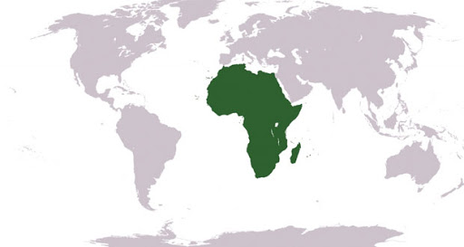 كورونا حول العالم/ إفريقيا الاستثناء على عكس العادة