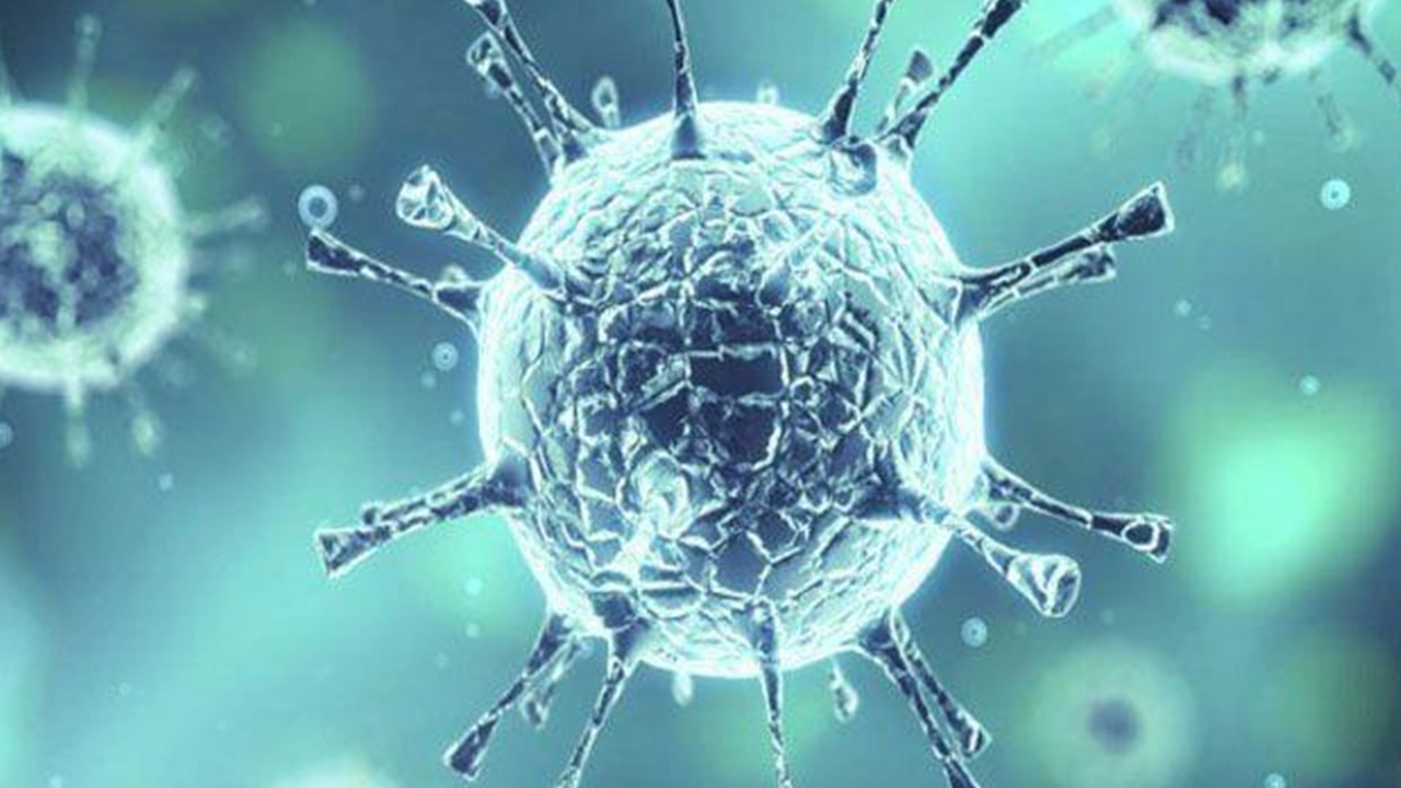 رصد سلالة جديدة من فيروس كورونا في الدانمارك