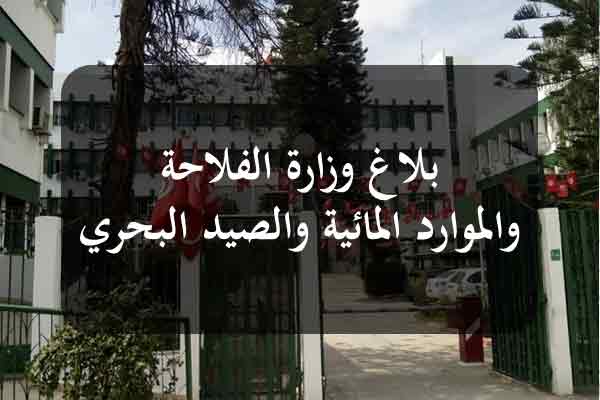 بعد ظهور بؤرة لانفلونزا الطيور في الجزائر/وزارة الفلاحة تحذر…