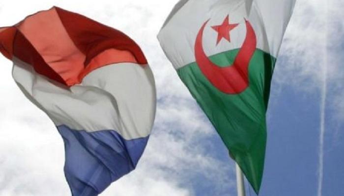الجزائر تتجه نحو تجريم الاستعمار الفرنسي