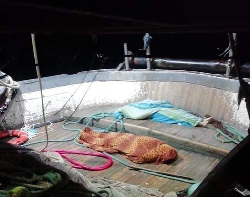 صفاقس: نجاة 8 بحارة في غرق مركب الصيد