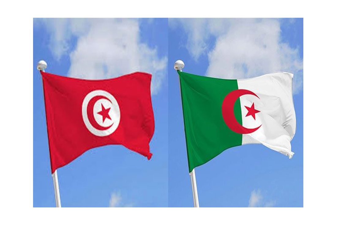 الجزائر تتعهد بإقتسام اللقاحات التي ستتحصل عليها مع تونس