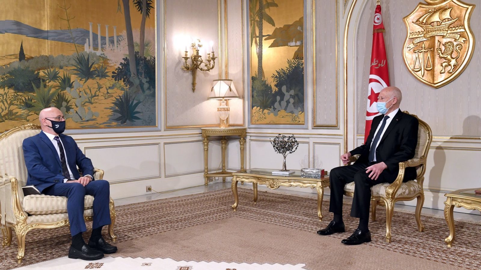 قيس سعيد يستقبل ممثل منظمة الصحة العالمية في تونس (فيديو)