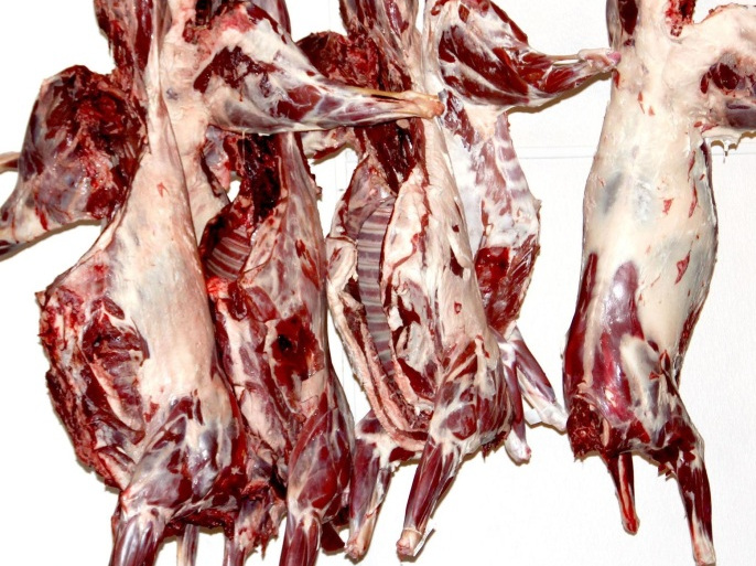 نابل: حجز 800 كلغ من اللحوم الحمراء في مخزن عشوائي