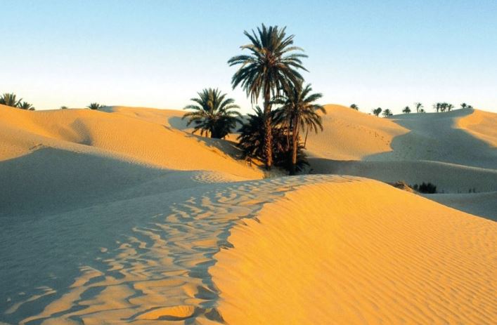 دوز: البحث عن كهل تاه في الصحراء
