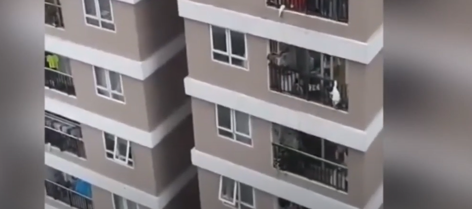 سائق ينقذ طفلة سقطت من الطابق الـ12 (فيديو)