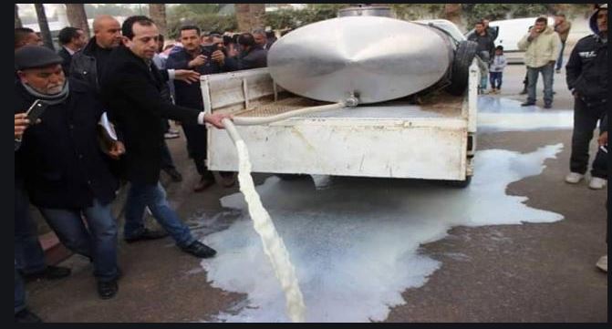 600 ألف لتر من الحليب تهدر يوميا في تونس
