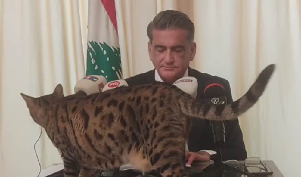 قطة تقطع مؤتمرا صحفيا في لبنان (فيديو)