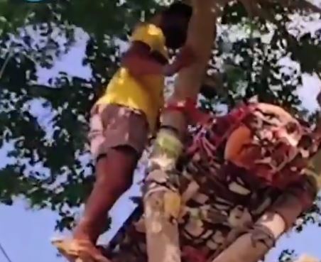 شاب هندي يقوم بالحجر الصحي فوق شجرة (فيديو)