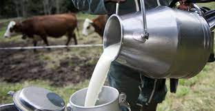 دعوة إلى الزيادة في سعر الحليب