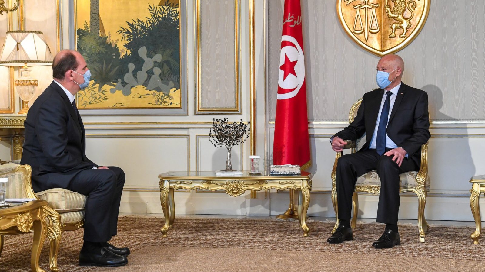 قيس سعيد يدعو فرنسا إلى معاضدة جهود تونس في الحصول على اللقاحات