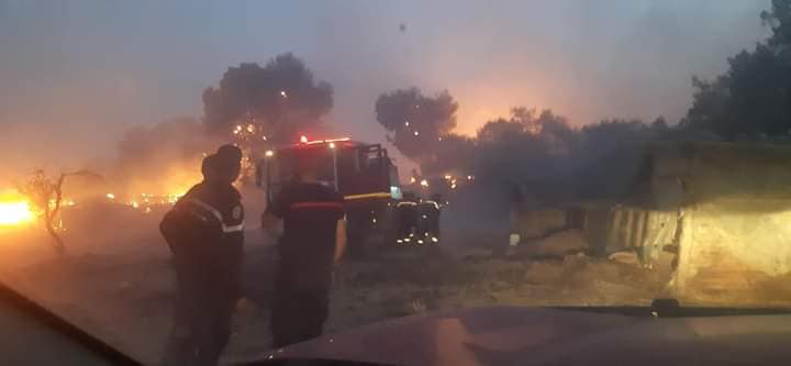 حريق غار الدماء: النيران امتدت من الجزائر حسب وزارة الفلاحة