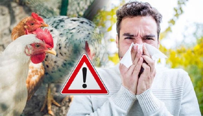 إصابة بشرية بانفلونزا الطيور في الصين