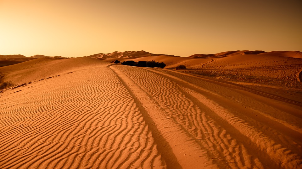 في صحراء توزر: وفاة امرأتين و4 أطفال عطشا