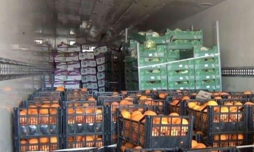 أريانة: حجز 33,5 طنا من الغلال في مخزن تبريد عشوائي
