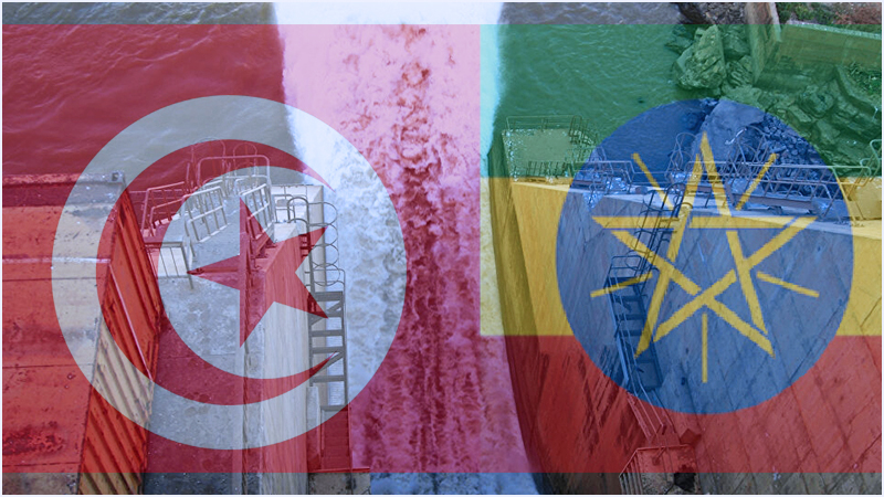 إثيوبيا: تونس ارتكبت خطأ تاريخيا ولن نعترف بأي مطالبات بشأن سد النهضة