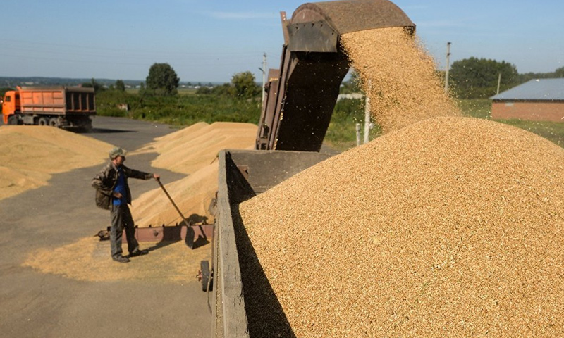 تونس تطرح مناقصة لشراء 200 ألف طن من الحبوب