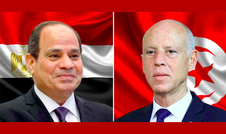 المتحدث باسم الرئاسة المصرية يكشف تفاصيل المكالمة الهاتفية بين السيسي وسعيّد