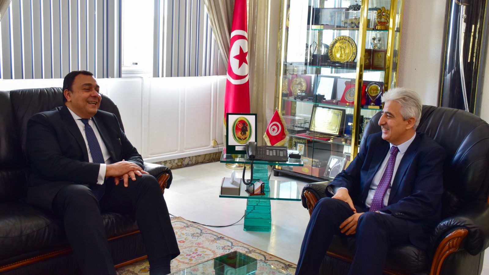 توسيع مجالات التعاون العسكري بين تونس ومصر
