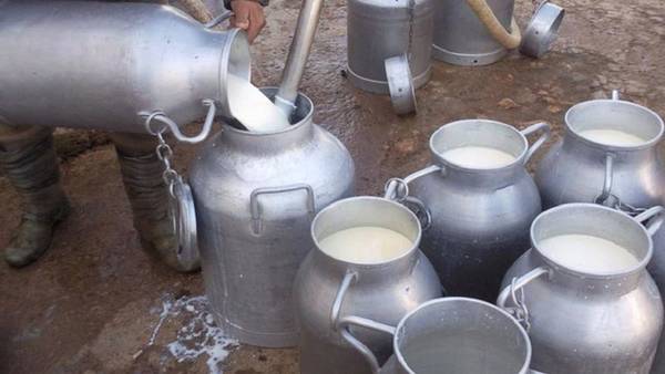 اتحاد الفلاحة يطالب بزيادة سعر الحليب إلى هذ القيمة عند الانتاج