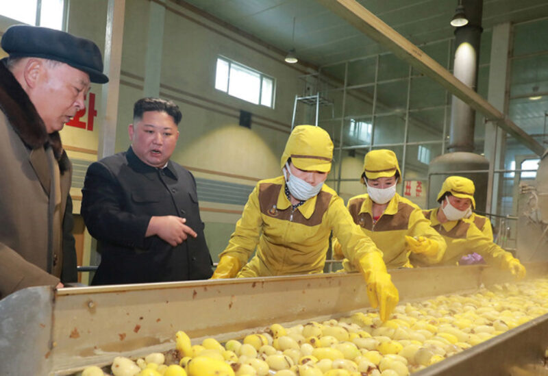 زعيم كوريا الشمالية يظهر للعموم من أجل البطاطا
