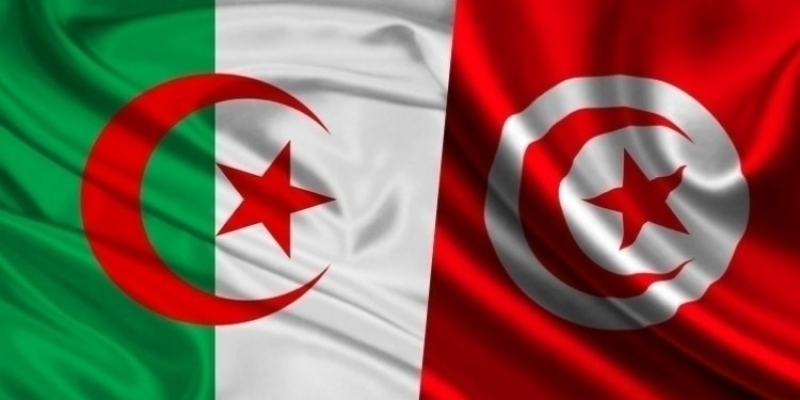قرض جزائري لتونس بقيمة 300 مليون دولار