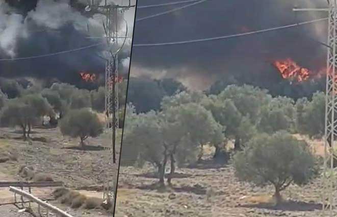 سوسة/ اندلاع حريق ضخم بمستودع للنفايات الإيطالية (فيديو)