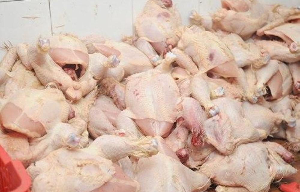 بمذبحين عشوائيين/ حجز طنّين من اللحوم البيضاء وألف طير دجاج