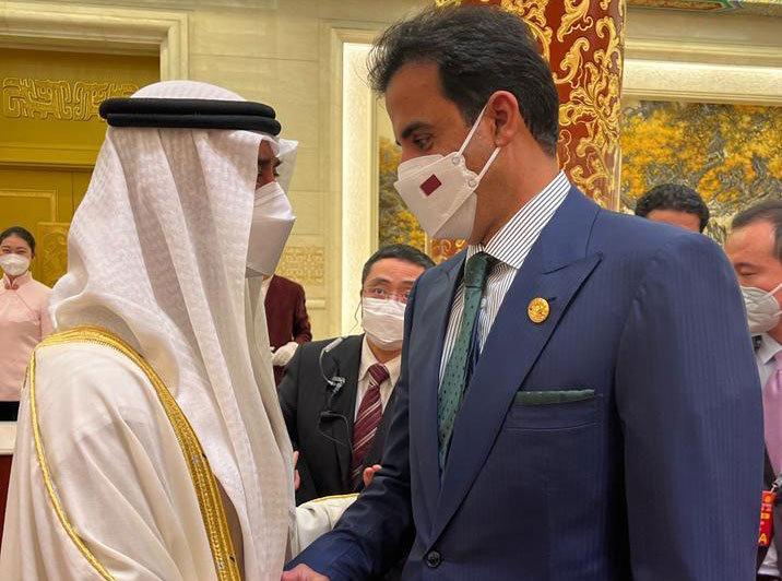 لأول مرة منذ الأزمة الخليجية/ أمير قطر يلتقي بولي عهد أبوظبي (صور)