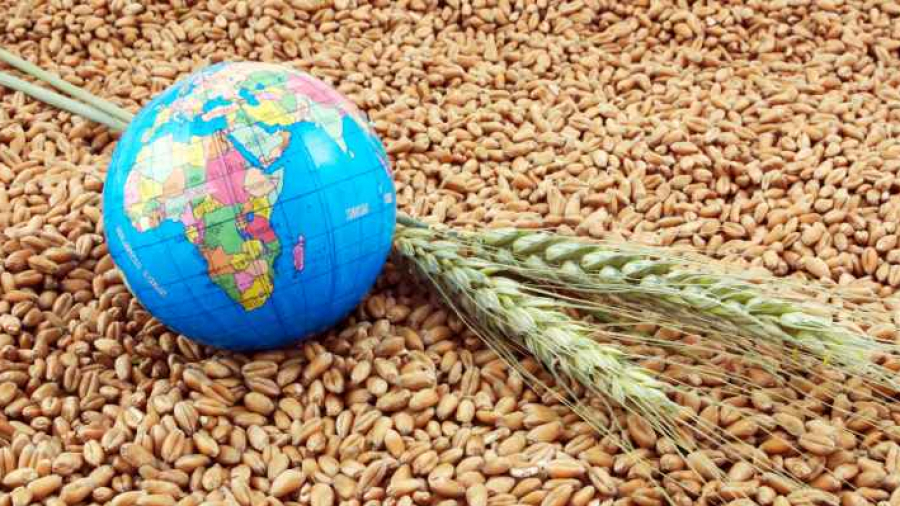 صندوق النقد يحذّر: الأمن الغذائي العالمي في خطر