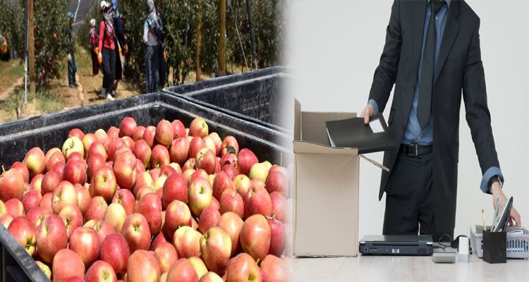 طرد مهندس رفض شراء تفاح لعرفه/ الشركة تعتذر