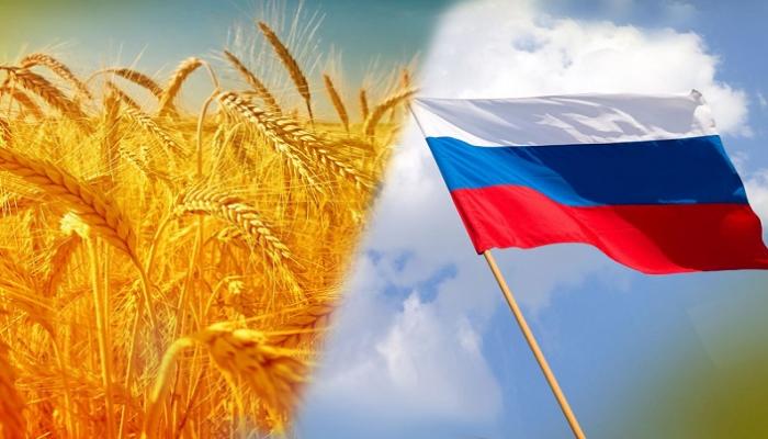 الاتحاد الأوروبي: روسيا تعرض العالم لخطر المجاعة