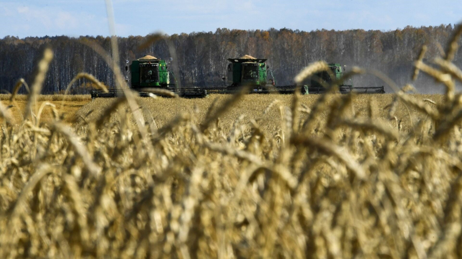 روسيا: لن نصدر الغذاء والمحاصيل إلّا إلى الدول الصديقة