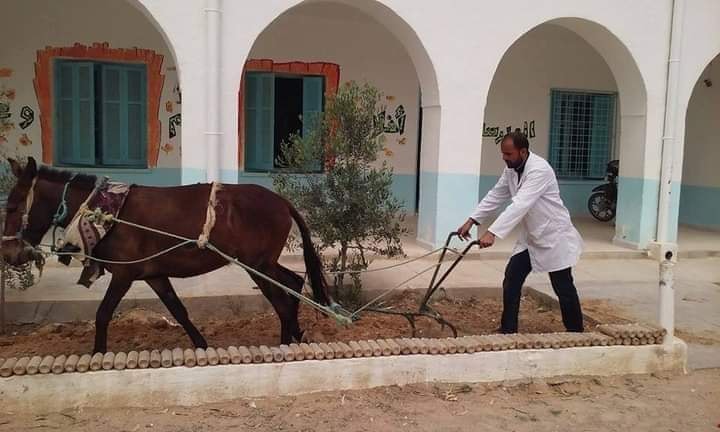 معلّم يحرث الأرض في إطار نشاط بيئي وتربوي