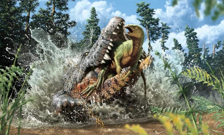 تعود إلى 95 مليون سنة/ اكتشاف أحفورة لتمساح التهم ديناصورا في وجبته الأخيرة