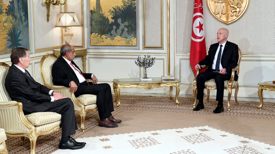 سعيّد: خبرات تونس في مجال التجهيز والإسكان والتعمير على ذمة فلسطين