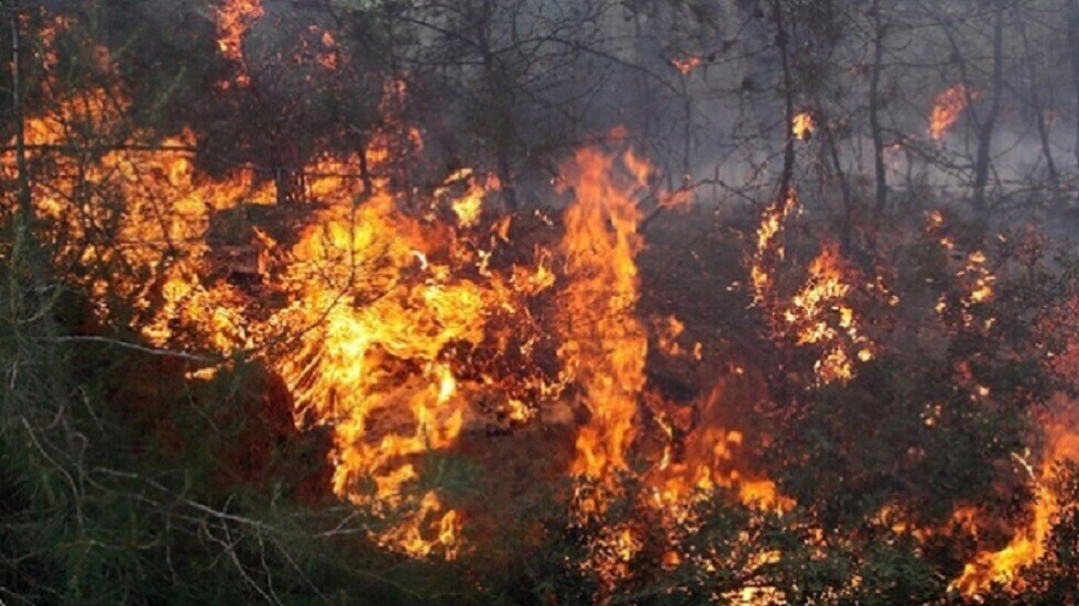 الفحص/ حريق يأتي على 25 هكتارا من الغابات في جبل الشنانفة