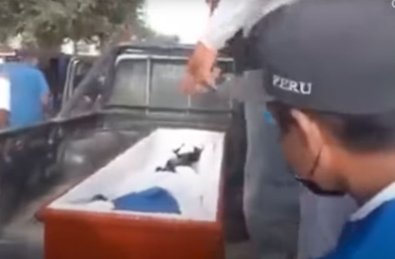 شاهد الفيديو/ امرأة تضرب على النعش قبل دقائق من دفنها