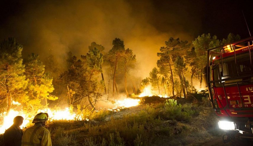 بسبب الحر/ النيران تلتهم غابات إسبانيا (فيديو)