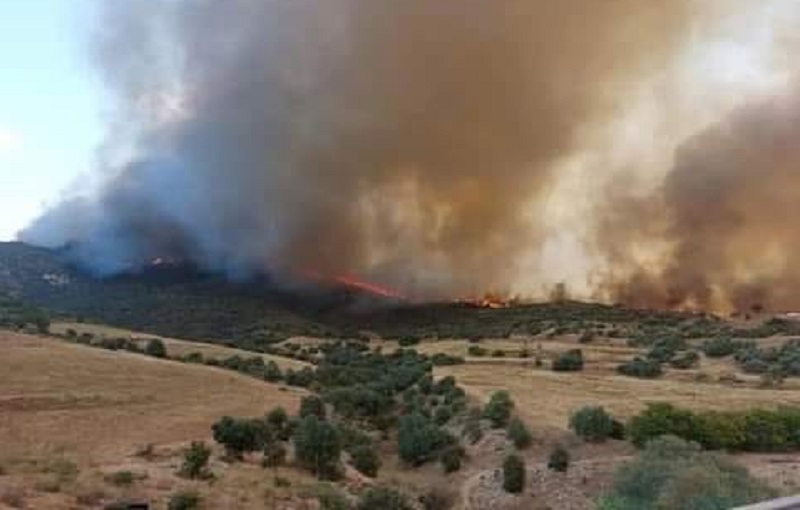 اندلاع حريق في جبل المر بين مجاز الباب وقبلّاط
