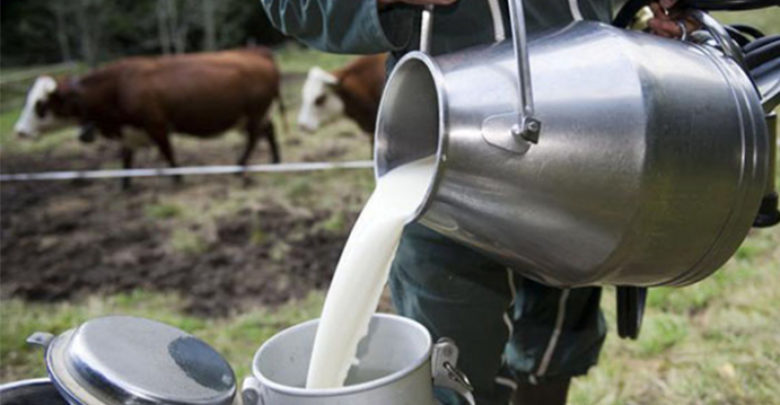 اتحاد الفلاحين يدعو إلى الإعلان الفوري عن الترفيع في سعر الحليب