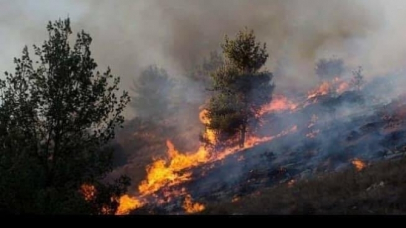 جندوبة/ لجنة مجابهة الكوارث تتخذ إجراءات عاجلة توقيا من الحرائق